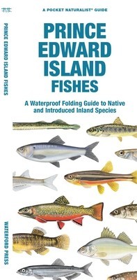Prince Edward Island Fishes: A Waterproof Folding Guide to Native and Introduced Species foto