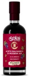 Otet BIO balsamic autentic de Modena, densitate &asymp; 1,35 iSolai