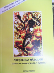 Cresterea Matcilor - Dr. F. Ruttner ,549055 foto