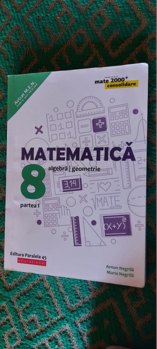 MATEMATICA ALGEBRA GEOMETRIE CLASA A 8 A PARTEA I ANTON NEGRILA