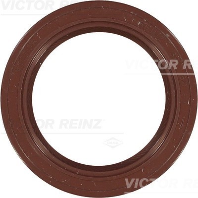 VICTOR REINZ 81-34403-00 Simering, ax cu came foto