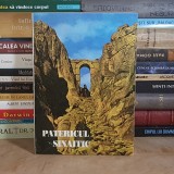 DIMITRIOS G. TSAMIS - PATERICUL SINAITIC , SIBIU , 1995 *