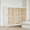 VidaXL Ușă de Dulap cu ușă 4 pcs natural 140.5 x 2.1 x 49.5 cm