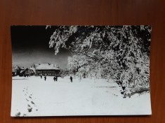 Peisaj de iarna pe Muntele Semenic - necirculata foto
