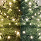 Ghirlanda LED, DUAL COLOR, alb cald/alb rece