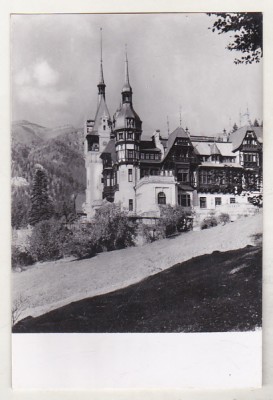 bnk cp Sinaia - Muzeul Peles - necirculata foto