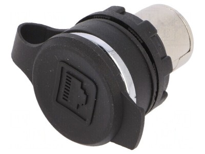 Soclu RJ45 pe panou IP65 Placare aurit: Soclu RJ45 pentru utilizare &amp;icirc;n exterior foto