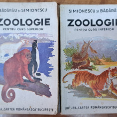 Zoologie - Simonescu / Badarau - Lot: Manual (doua vol) - editii interbelice