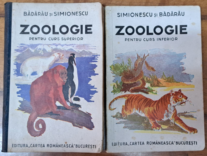 Zoologie - Simonescu / Badarau - Lot: Manual (doua vol) - editii interbelice