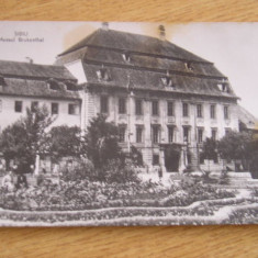 MRC - CARTI POSTALE SIBIU NR 5