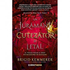 Un juramant cutezator si letal (vol. 3 din seria Distrugatorii de blesteme) - Brigid Kemmerer