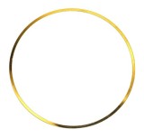 ELRING 703.214 O-ring, camasa cilindru