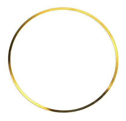 ELRING 703.214 O-ring, camasa cilindru