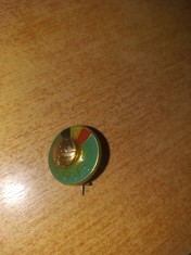 AMS# - INSIGNA FEDERATIA ROMANA DE FOTBAL, EMAIL LA CALD