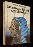 Lumea fără oglindă - Grid Modorcea