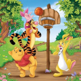 Puzzle Winnie The Pooh, 3X49 Piese, Ravensburger