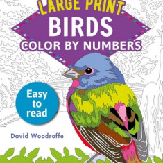 Large Print Color by Numbers Birds