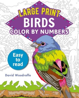 Large Print Color by Numbers Birds foto