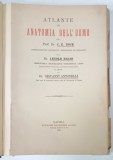 ATLANTE DI ANATOMIA DELL &#039;UOMO dei C.E.BOCK ...GIOVANNI ANTONELLI , 1891