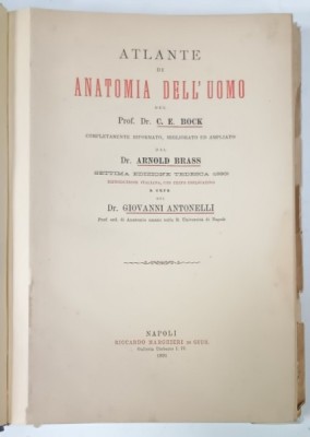 ATLANTE DI ANATOMIA DELL &amp;#039;UOMO dei C.E.BOCK ...GIOVANNI ANTONELLI , 1891 foto