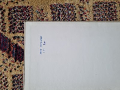Nichita stanescu Unfinished work foto