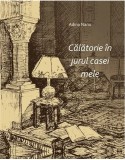 ADINA NANU Calatorie in jurul casei mele (Editie cartonata, format mare)