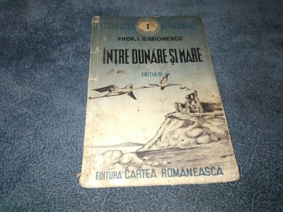 I SIMIONESCU - INTRE DUNARE SI MARE foto