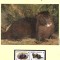 Georgia 1999 - Nurca europeană, Set WWF, 6 poze, MNH (vezi descrierea)