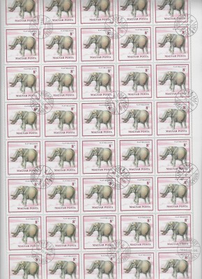 LOT 6-UNGARIA STAMPILATE -10 BLOCURI foto