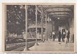 bnk cp Baile Herculane - Terasa - uzata 1953