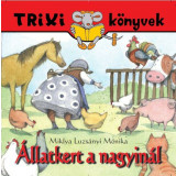 &Aacute;llatkert a nagyin&aacute;l - Miklya Luzs&aacute;nyi M&oacute;nika