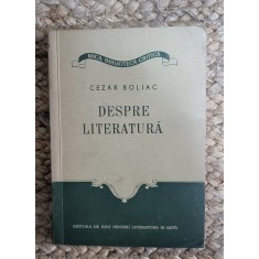 DESPRE LITERATURA -CEZAR BOLIAC , FORMAT MIC