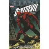 Shadowland Daredevil The Devil Inside and Out