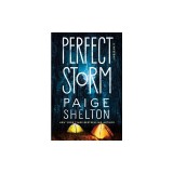 Perfect Storm: A Mystery