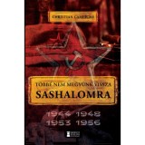 T&ouml;bb&eacute; nem megy&uuml;nk vissza Sashalomra - Christian Campiche