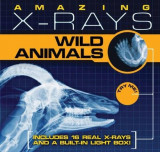 Amazing X-Rays: Wild Animals | Jacqueline A. Ball, Silver Dolphin