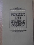 POEZIA LUI GEORGE COSBUC-PETRU POANTA