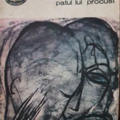 Patul lui Procust Camil Petrescu 1982