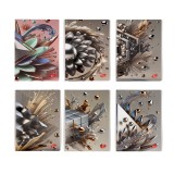 Caiet Design 3D arts, A5, 48 file, h&acirc;rtie 80gr./mp, copertă carton 300gsm,