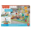 FISHER PRICE SALTELUTA 3 IN 1, FISHER PRICE - Newborn