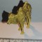 bnk jc Britains Ltd - animale salbatice - camila pui