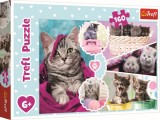 Puzzle Trefl 160 Pisici Dragalase, TREFL 160P