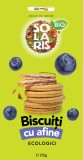 Biscuiti cu crema de afine, 175g, Solaris