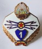 INSIGNA SPECIALIST CLASA 1 TRANSMISIUNI RPR ARMATA MINISTERUL APARARII TANSMISIONIST TRANSMISIONISTI FARA FISURI SAU SPARTURI ( CITITI DESCRIEREA )
