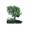Wild Witch: A Guide to Earth Magic