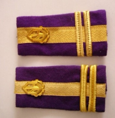 C2 1 - Grade militare - locotenent colonel intendenta foto