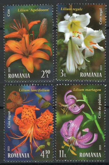 Romania 2023 LP 2415 Crini