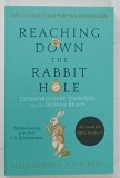 Cartea Reaching Down the Rabbit Hole de Allan Ropper si B. D. Burrell, aparuta in 2015, in limba engleza, coperta brosata