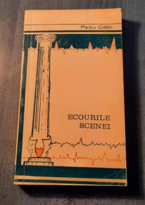 Ecourile scenei Teatrul profesionist la Resita 1949 - 1993 Petru Calin foto