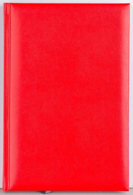 Agenda Basic 360 pagini BR Ego